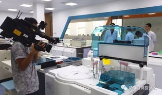 惊艳登场！泉州版迪士尼即将亮相，预计最快2019年开放，未来片区聚焦针纺织品销售