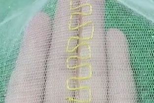 网纱衣物破损怎么办？专业修补技巧与选购指南